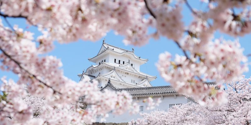 There's nothing quite as beautiful as the sight of a thousand cherry trees bursting with pale pink flowers come springtime in Japan. These one-week itineraries will help you plan and navigate your way around Hanami 2017. Click through to find out when and where to see the cherry blossoms in Japan this coming spring!