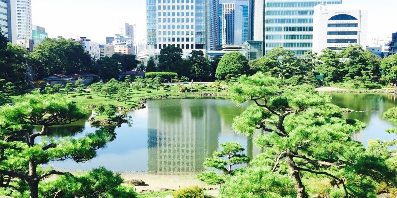 How to have a relaxing holiday in Tokyo