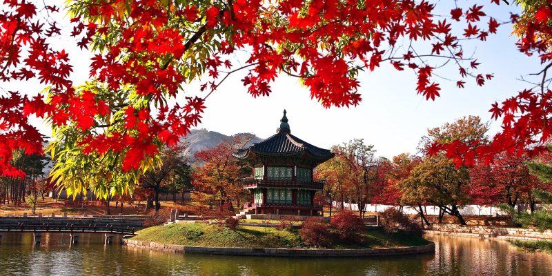 South Korea is a great place for an autumn holiday. There are plenty of spots to enjoy the fiery reds and oranges of fall, and have a taste of the country’s rich culture and tradition. This itinerary takes you in and around Seoul, then guides you to venture out into the countryside where you’ll see South Korea’s best spots for autumn.