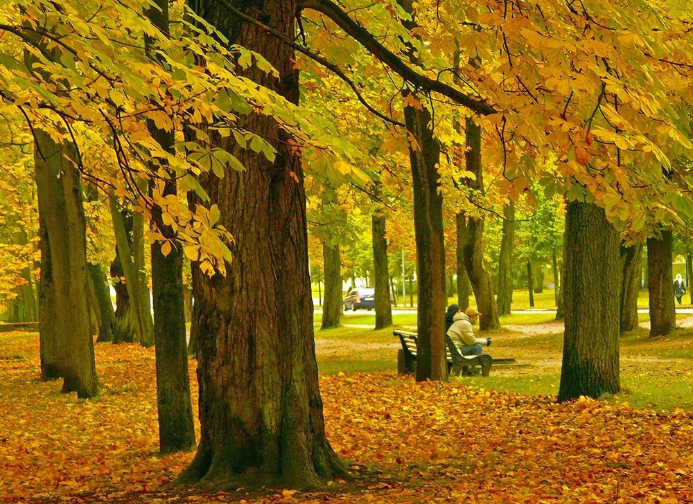 Peaceful tree-lined streets, sprawling gardens, and ornate wooden mansions – couple this with art museums, a Baroque palace, and a choice of luxurious hotels and you’re in for one of the most leisurely holidays you can experience in Tallinn. Here’s your city break guide and where to stay in Tallinn.