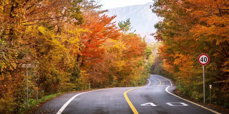 Driving in South Korea is a fun way to discover the country. Get behind the wheel and discover the small towns and amazing countryside lying just outside Seoul and Busan. Here’s what you need to know for an amazing road trip in South Korea.