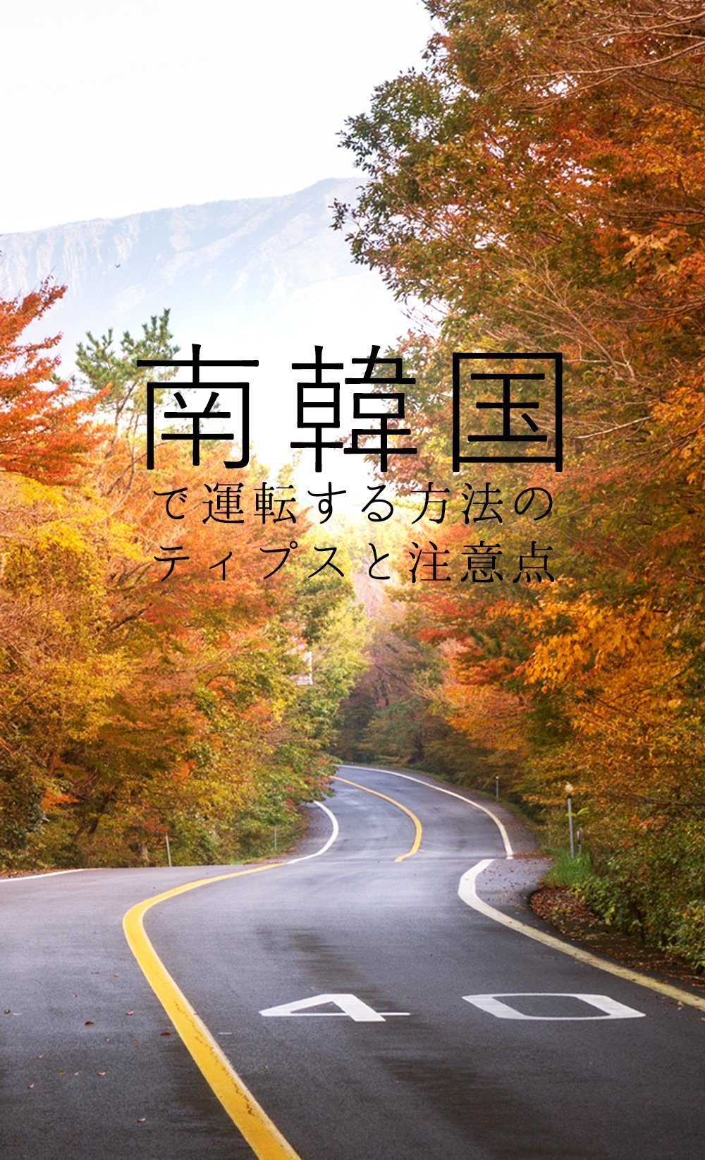 南韓国を楽しみに観光したいならで運転するのはいいと思います。公共交通機関で可能ですが、運転するのは便利でもっと楽しいと思います。走行時間を保存できるし旅行をちゃんとプランできたらお金も保存できます。そして、韓国語を喋らなくても簡単だよ! 私からの南韓国で車を借りる方法と南韓国での運転するのティプスはぜひ読んでみてください!